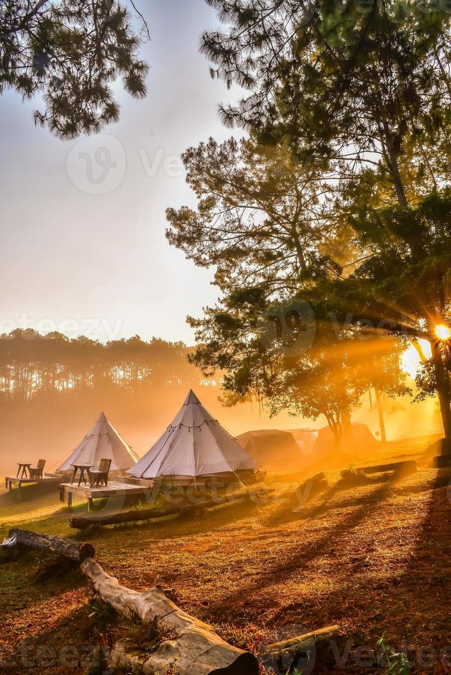 tält camping i de morgon- . på sväng salaeng luang nationell parkera Phetchabun provins, thailand foto