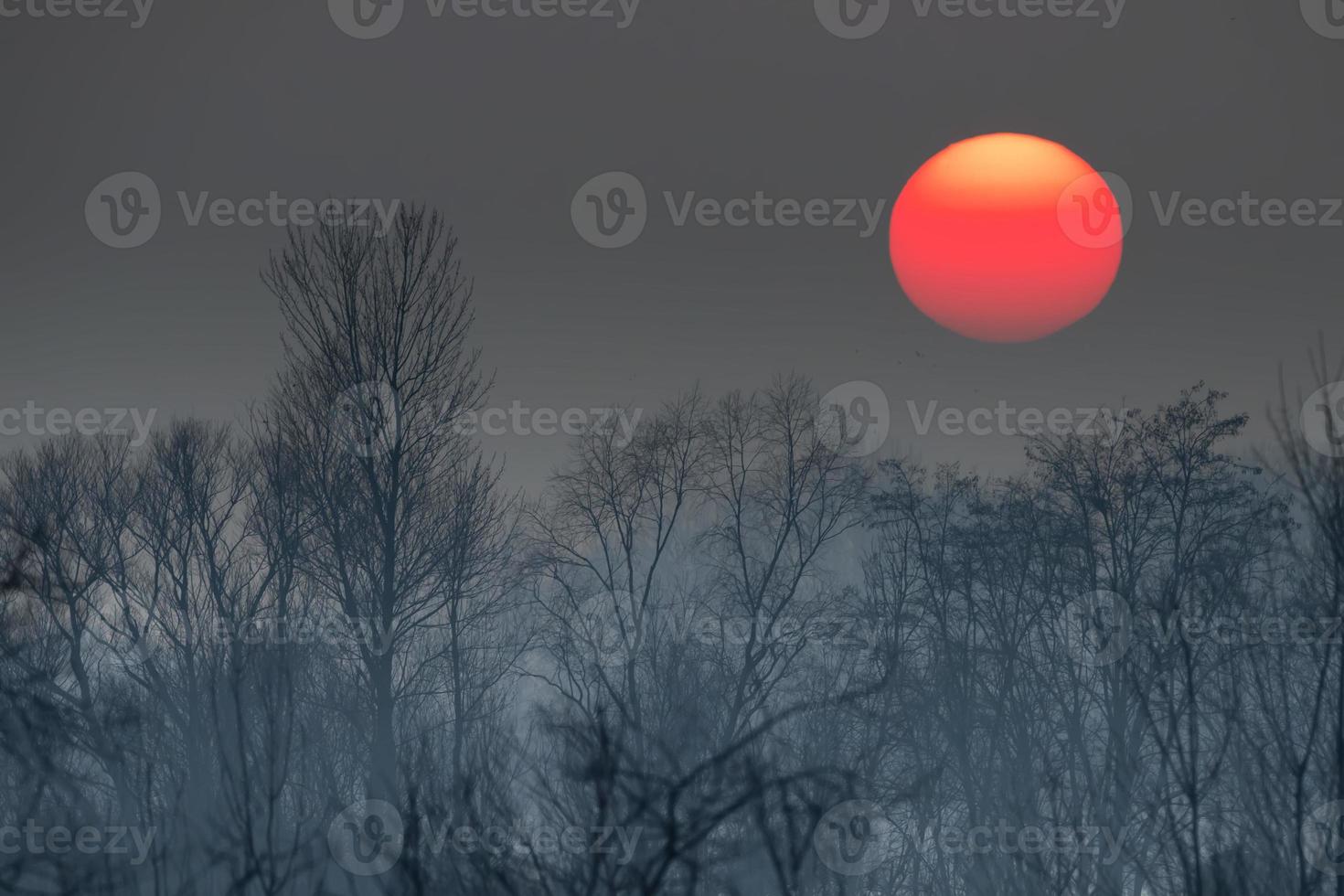 solnedgång på vinter- tid foto
