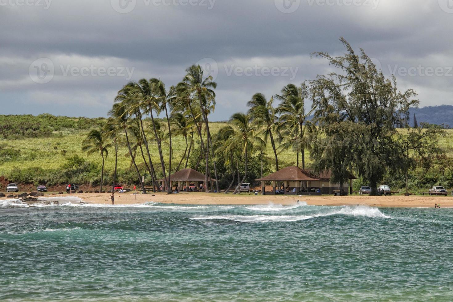 pacific hav vågor på de Strand foto