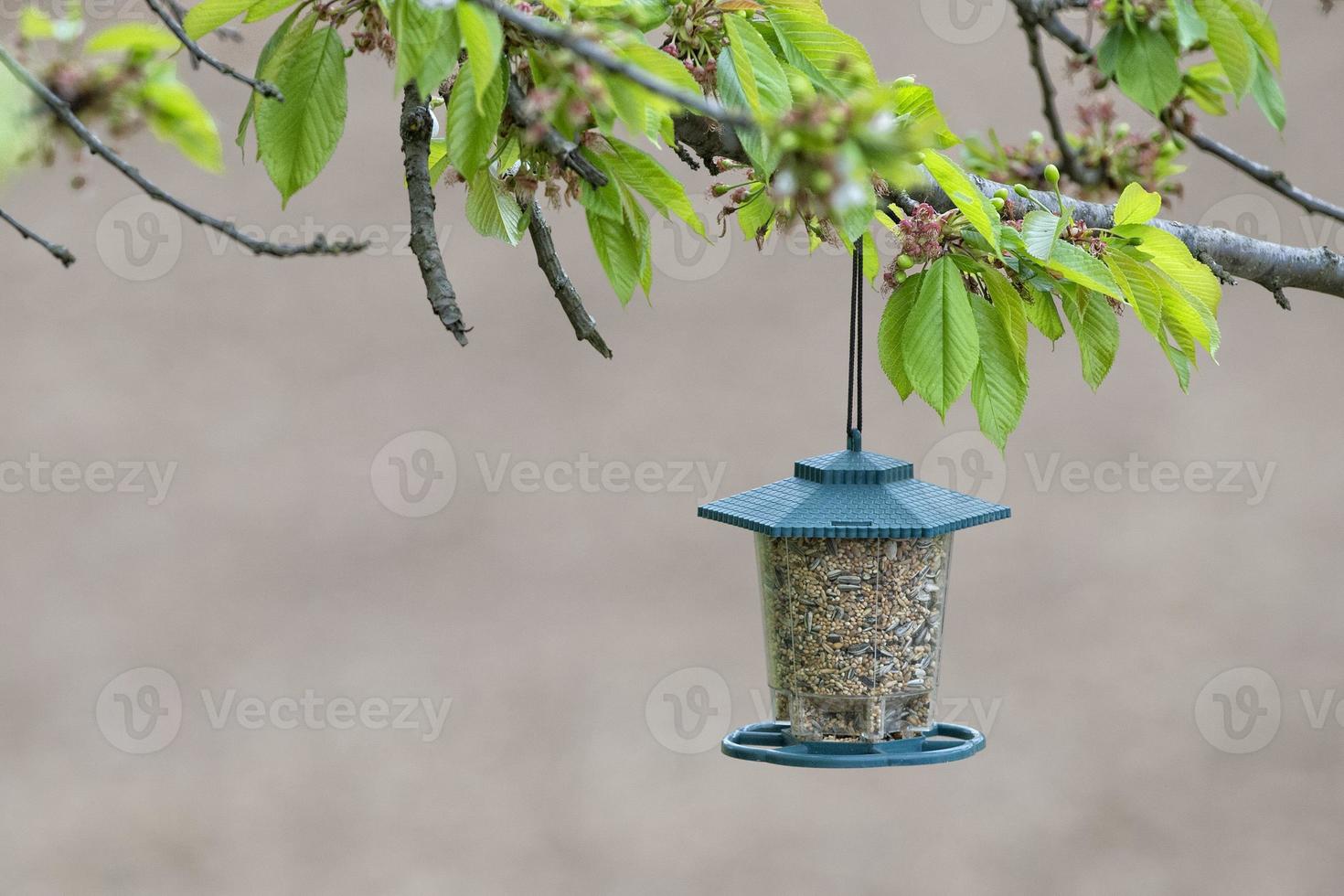 fågel matare låda full av frön foto