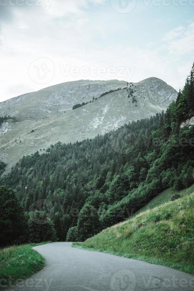 majestätisk bergen i de alps täckt med träd och moln foto