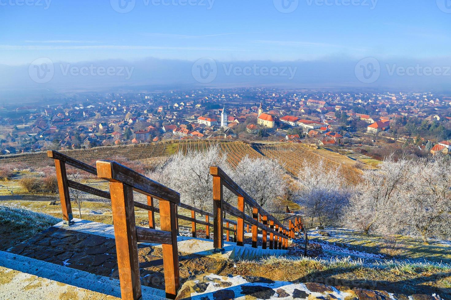 vinter- i tarcal, tokaj område foto