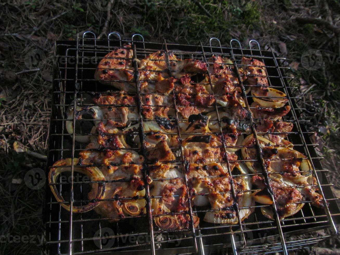 öppning av utegrill säsong i vår skog foto