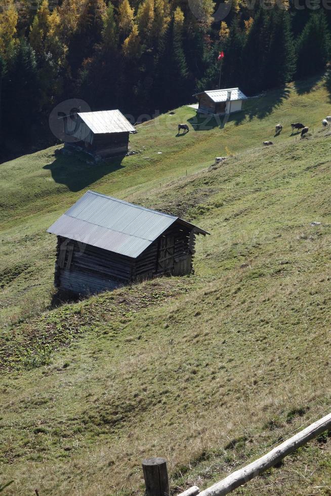 vandring i de schweiziska alperna foto