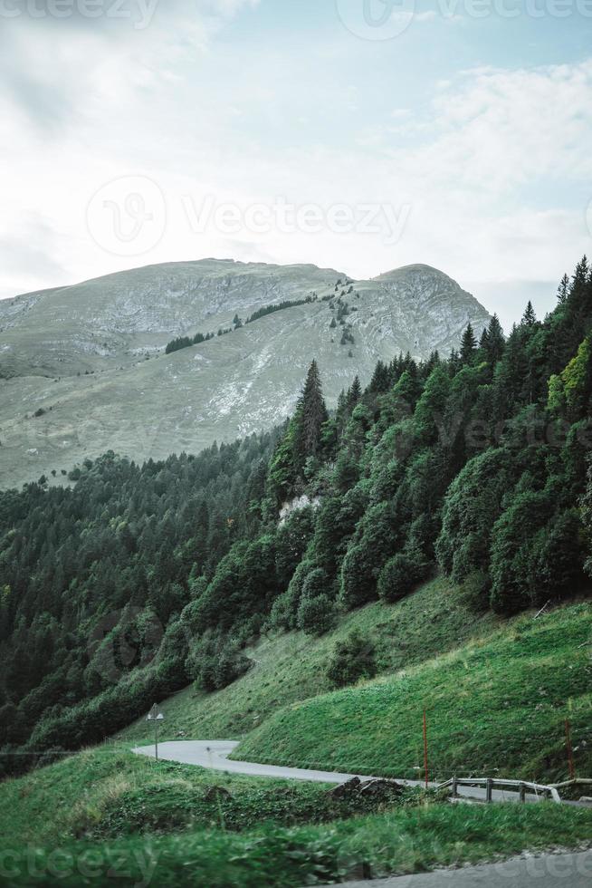 majestätisk bergen i de alps täckt med träd och moln foto