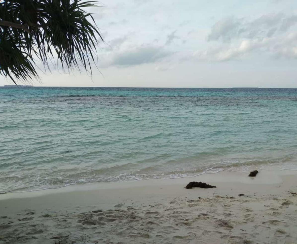 naturlig landskap på karimunjawa strand foto