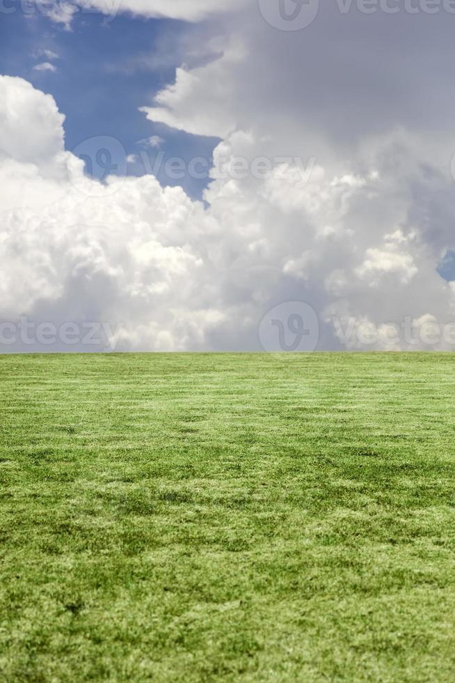 grönt gräs och blå molnig himmel foto