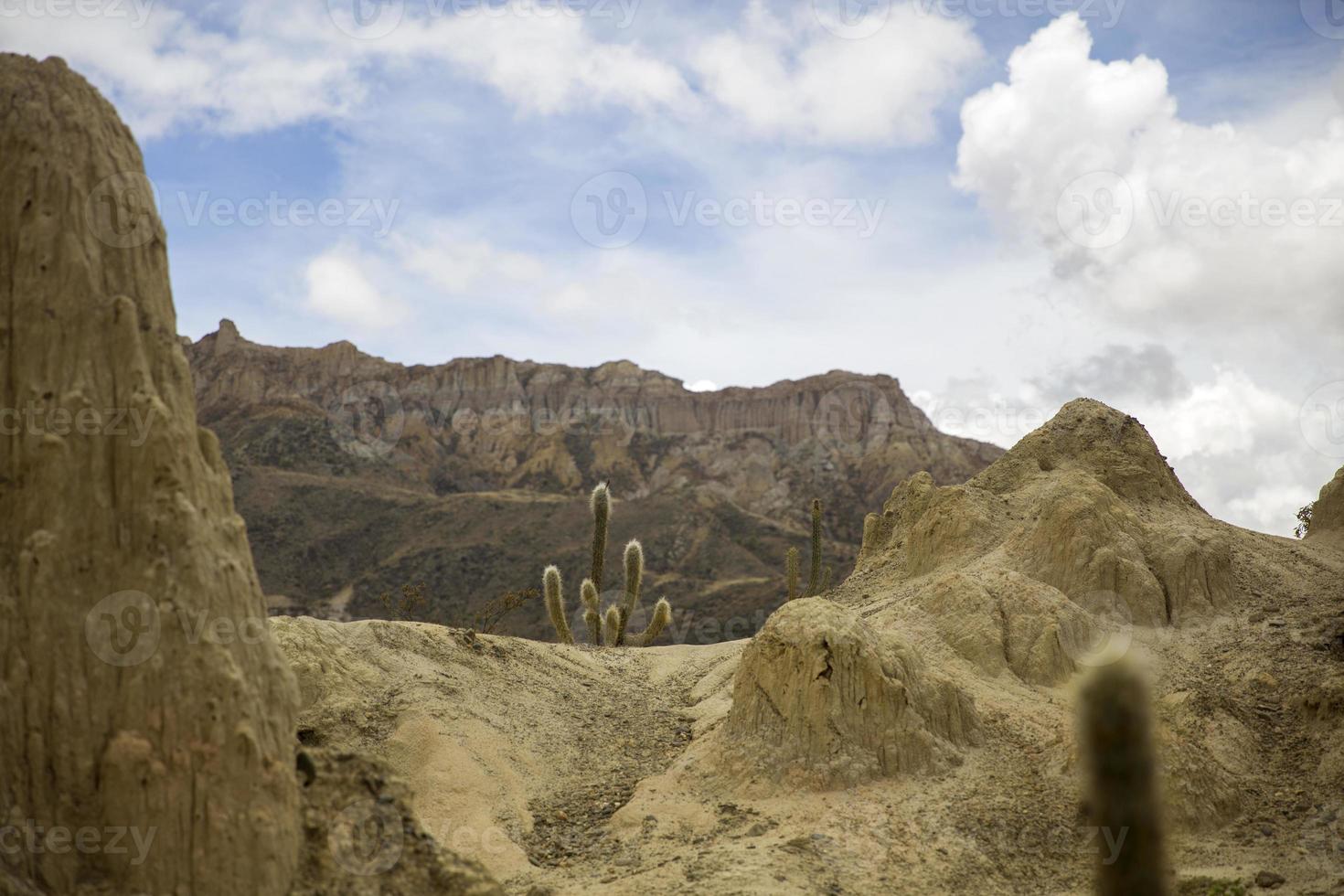 valle de la luna i bolivia foto