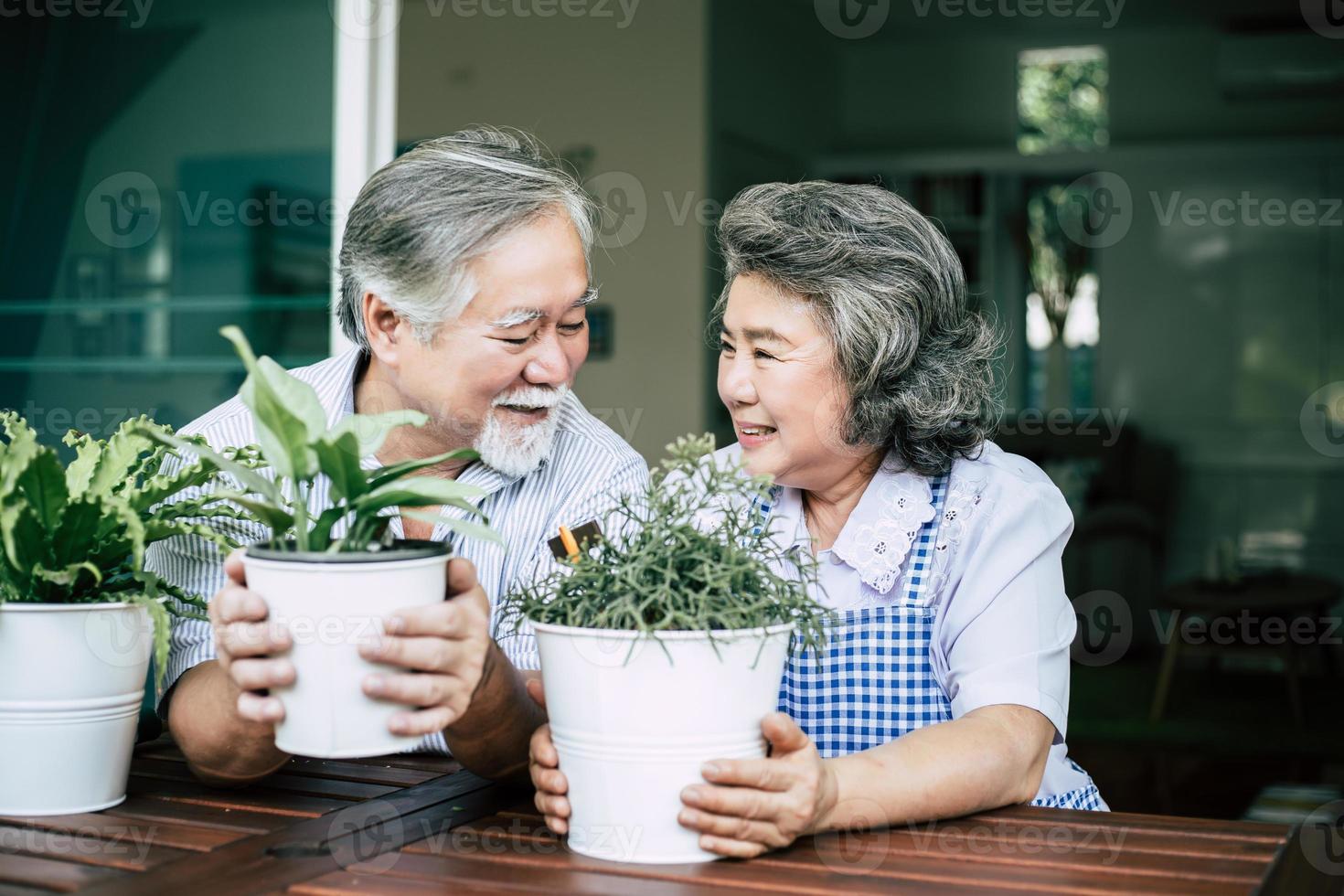äldre par som pratar tillsammans och planterar träd i krukor foto