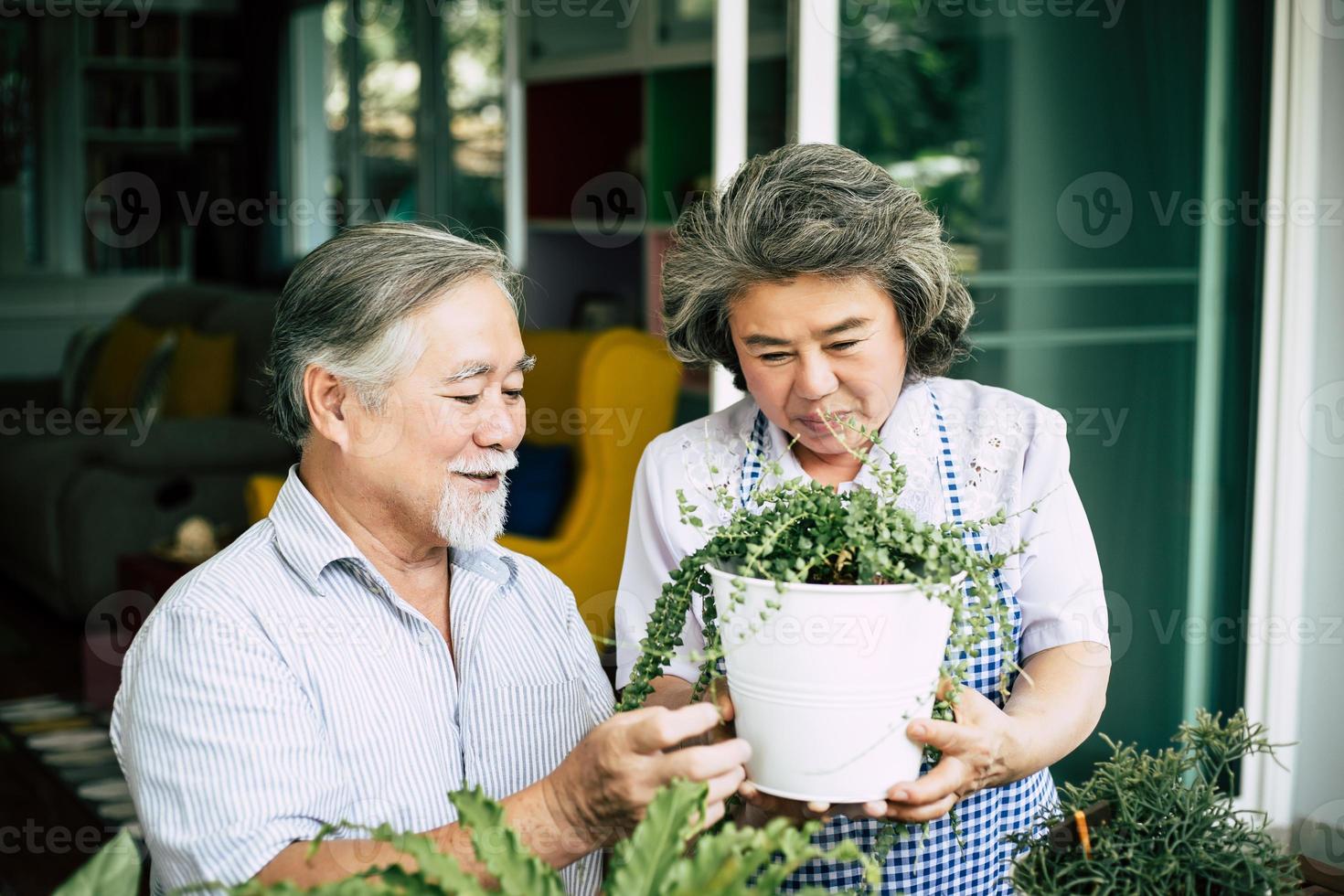 äldre par som pratar tillsammans och planterar träd i krukor foto