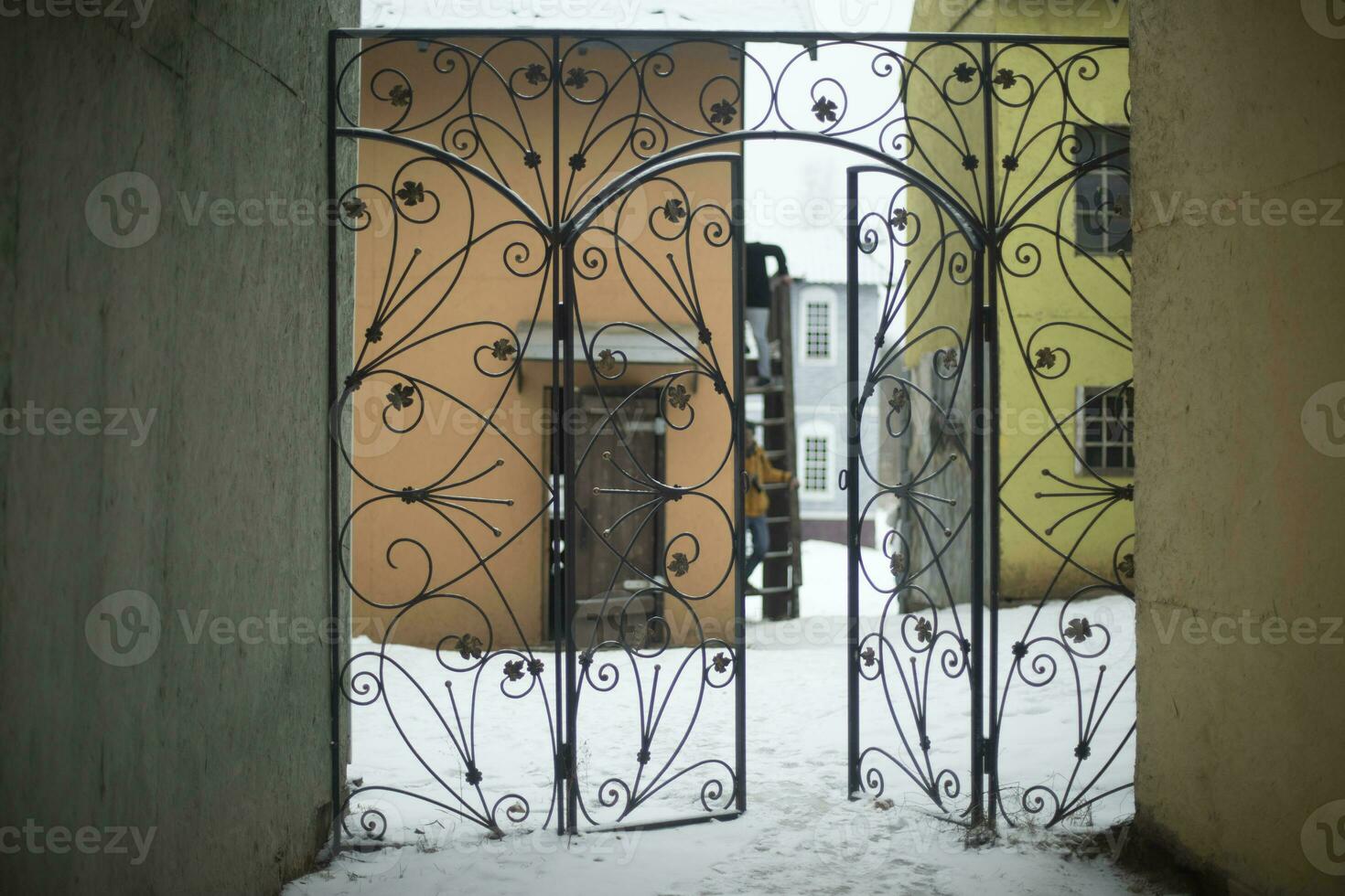 stål Port i gammal stad i vinter. smidda portar. ingång till gård. foto