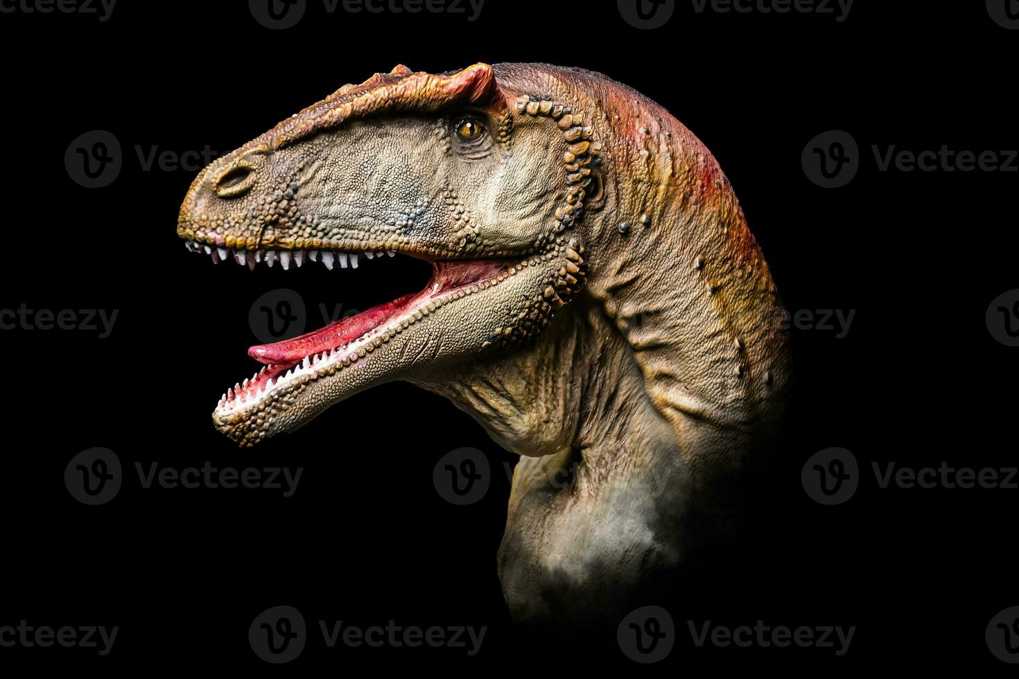 de huvud av carcharodontosaurus i de mörk , dinosaurie på svart bakgrund foto