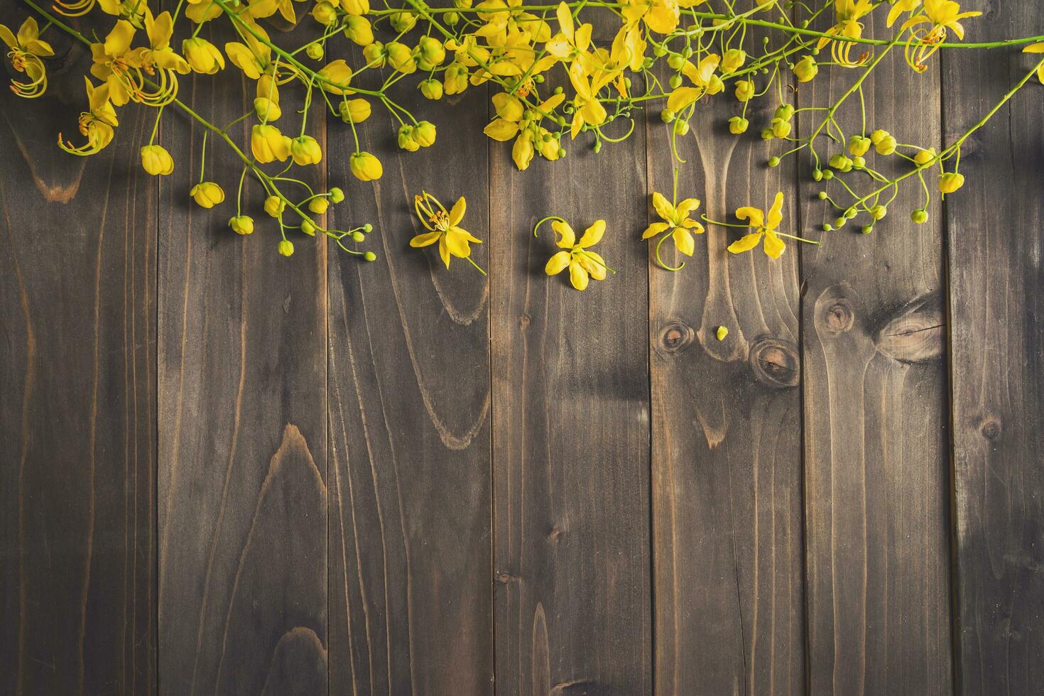 gul blomma på trä- bakgrund med Plats med årgång tonad. foto