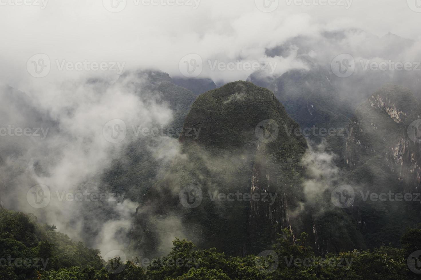 vildmarken i Peru foto