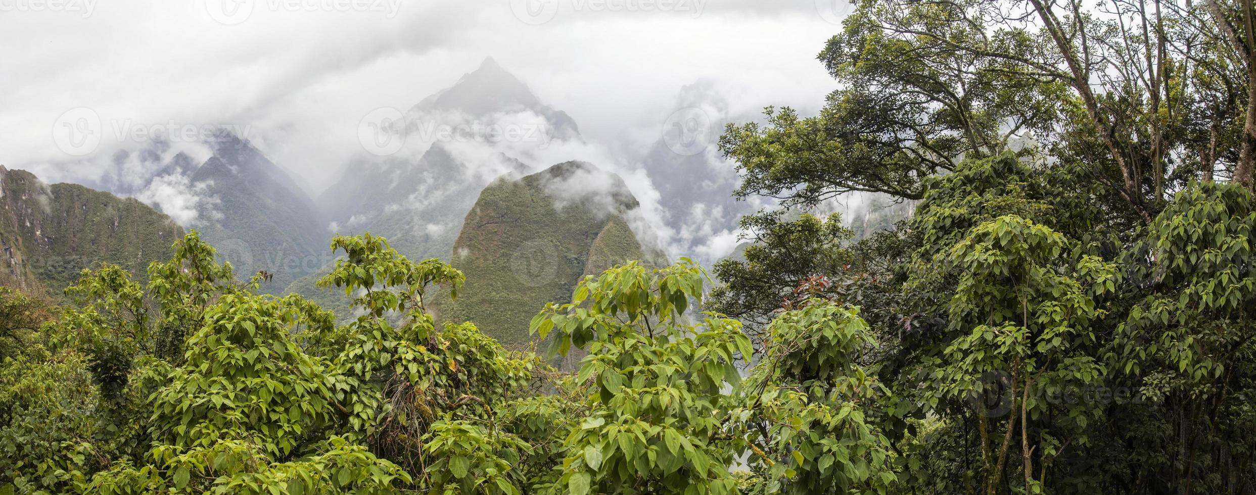 vildmarken i Peru foto