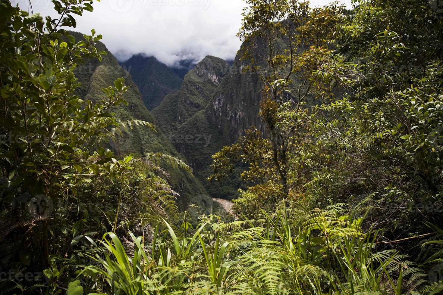 machu picchu i peru foto