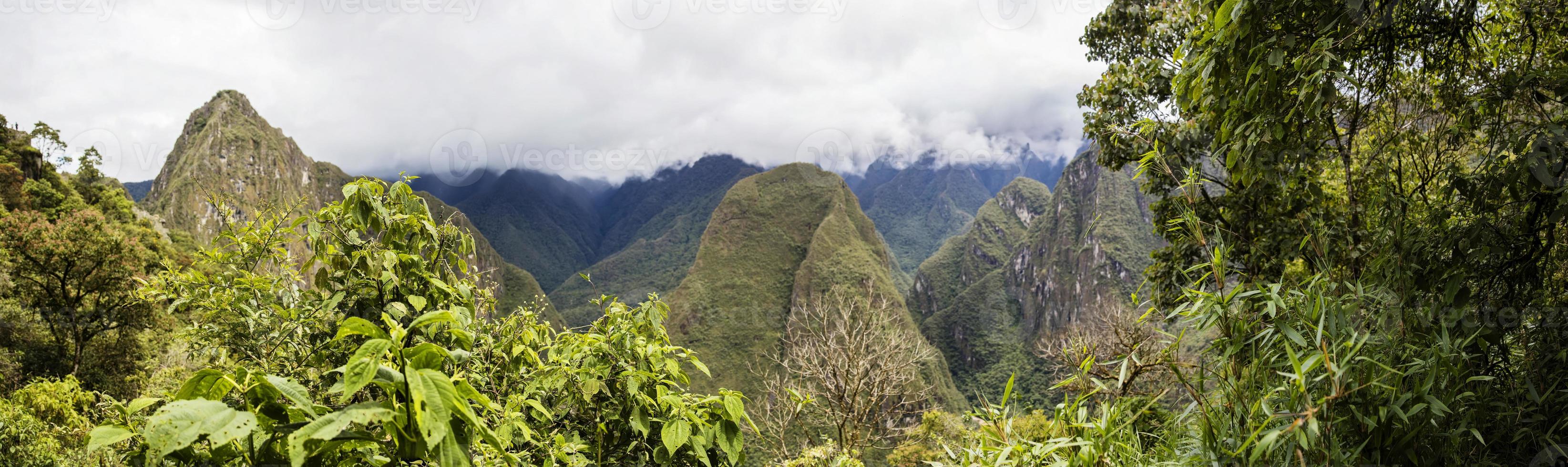 vildmarken i Peru foto