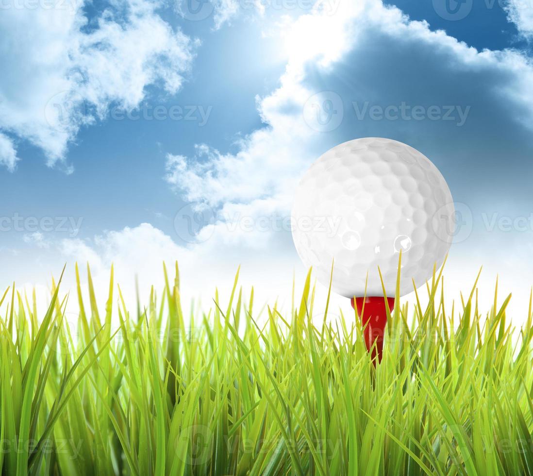 golfboll på fältet foto
