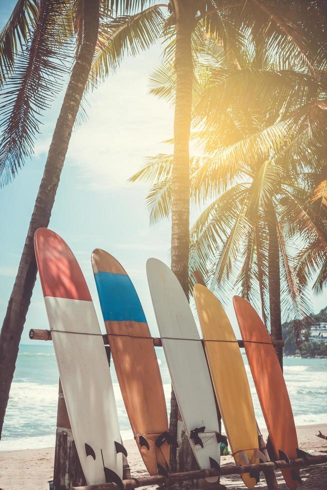 många surfbrädor bredvid kokospalmer på sommarstranden med solljus och blå himmel foto