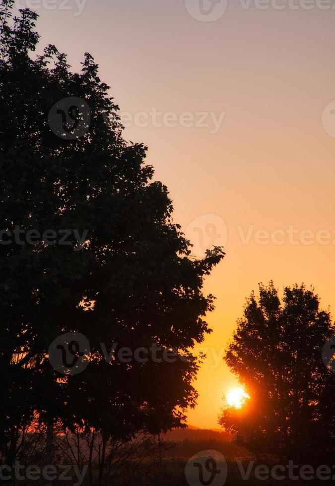 solnedgång. de Sol lyser mellan de träd i de gyllene ljus. höst humör. landskap foto