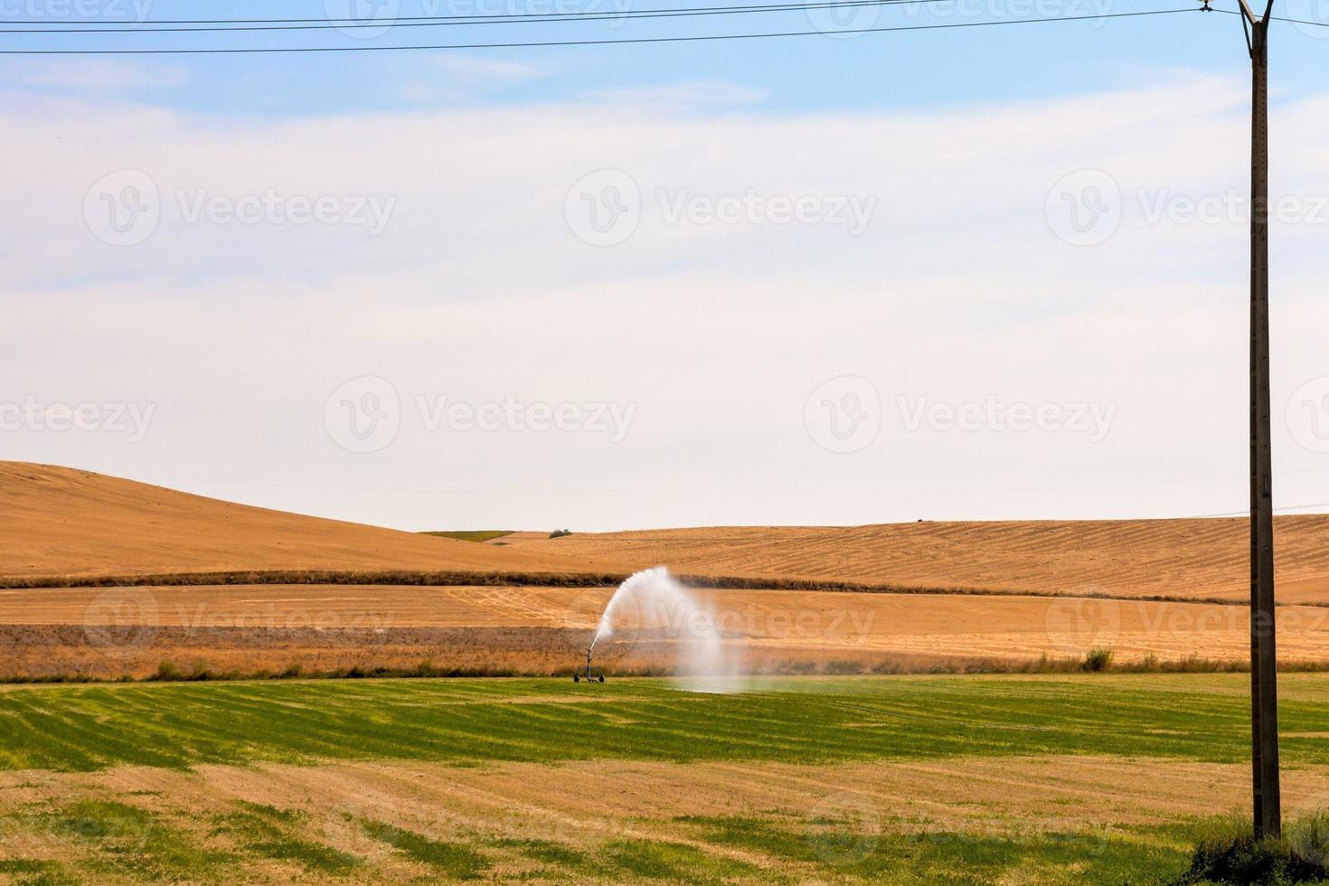 landskap på sommaren foto