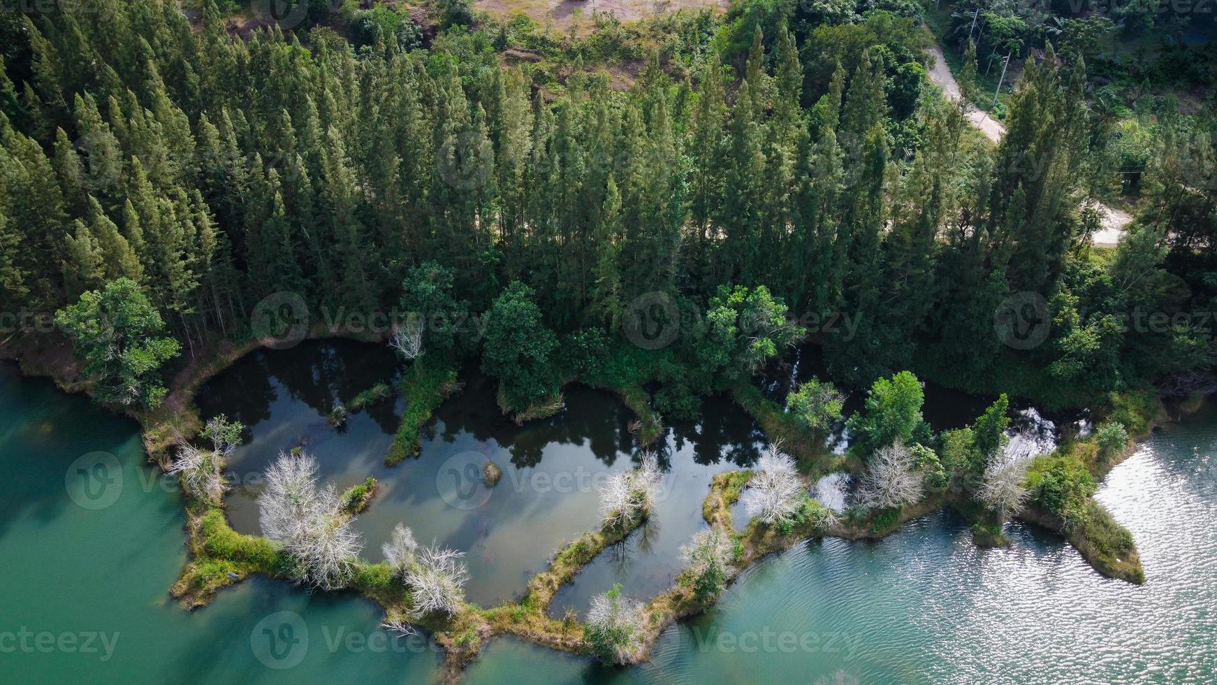Flygfoto över sjön och tallskogen vid Liwong Public Park, Chana, Thailand foto