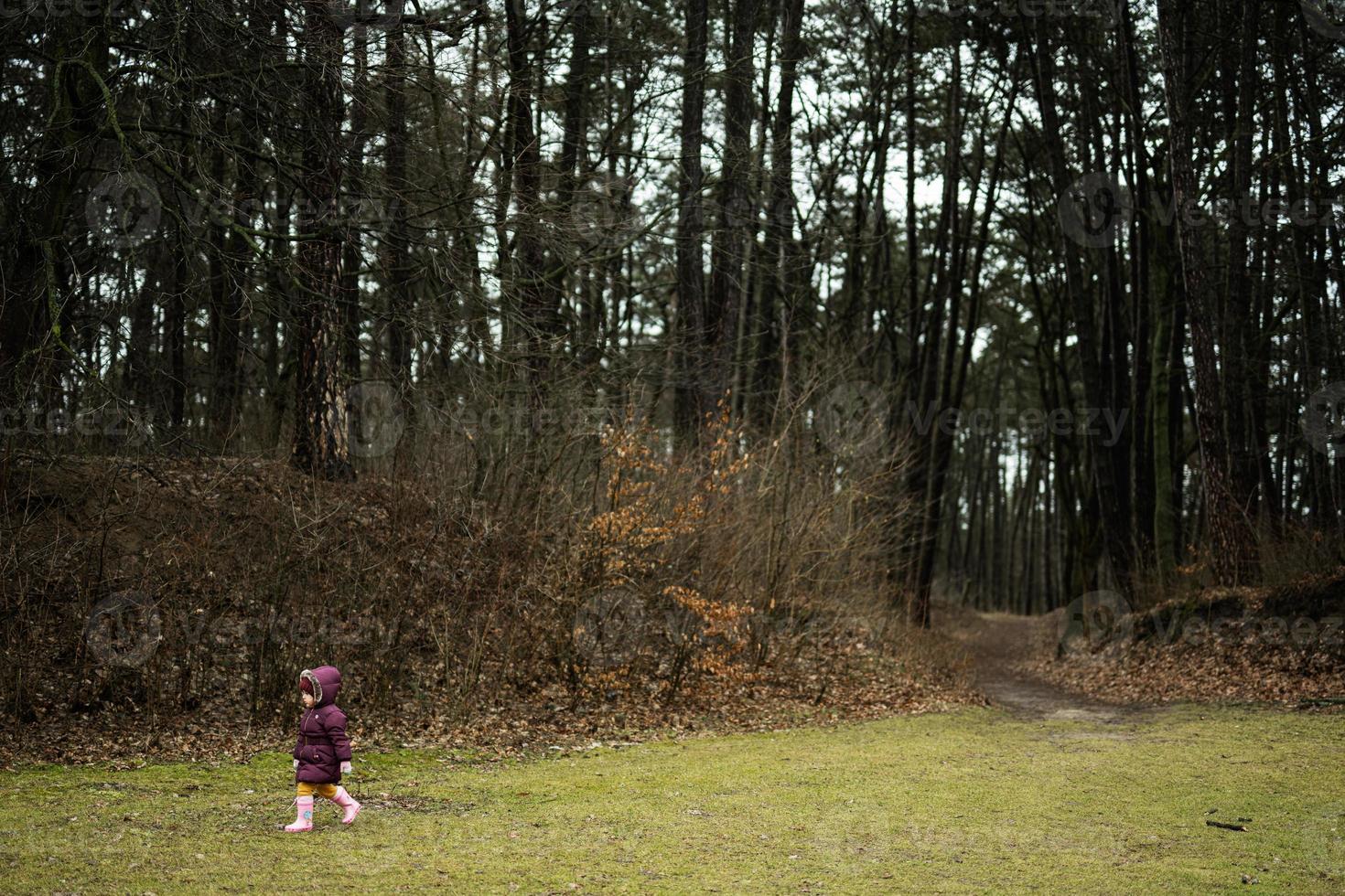 bebis flicka gående längs de skog efter regn. foto