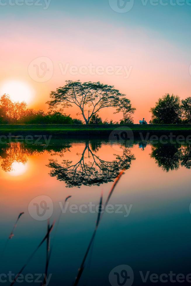 träd förbi de kanal på solnedgång, vatten reflexion foto