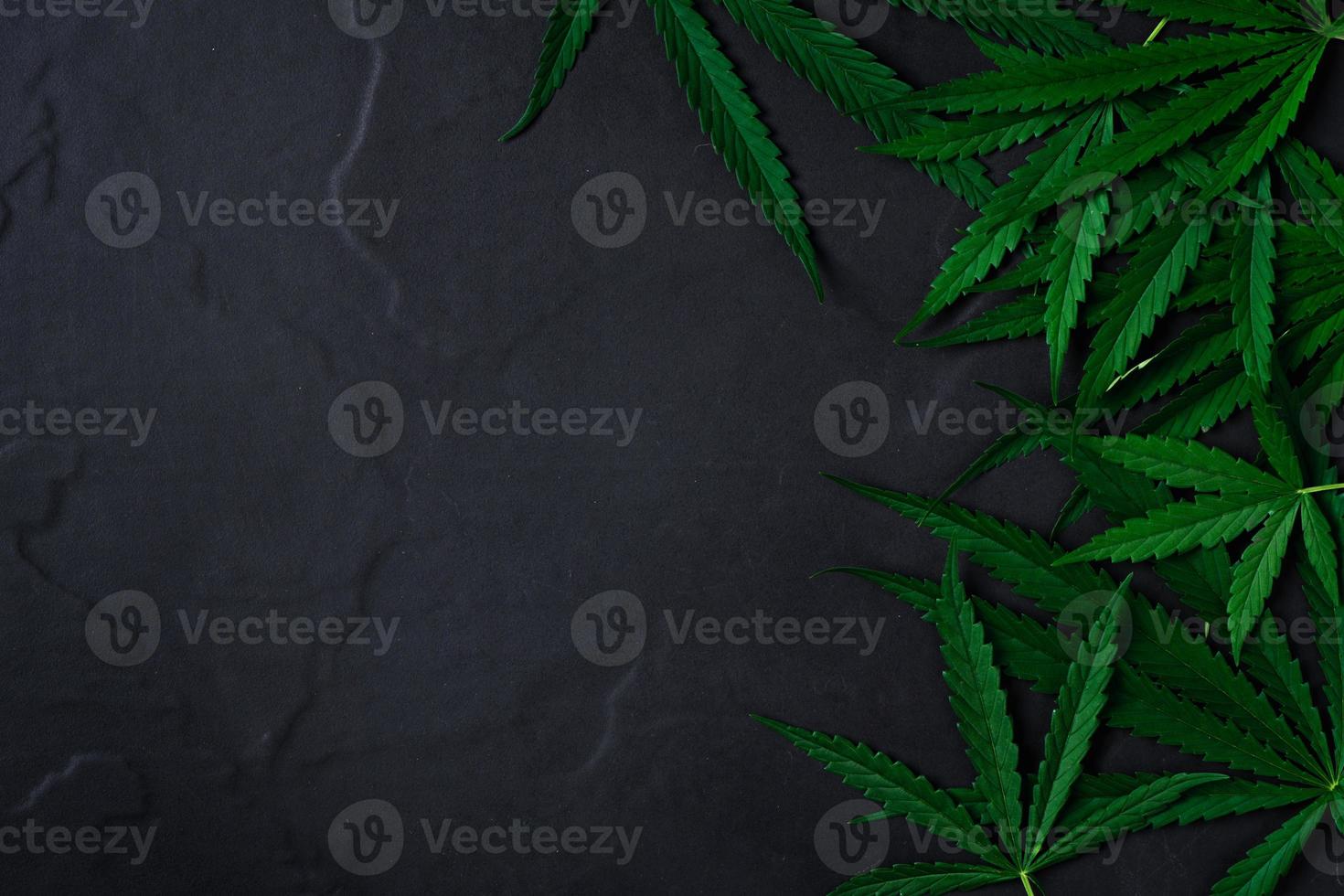 cannabis löv på svart sten bakgrund, kopia Plats foto