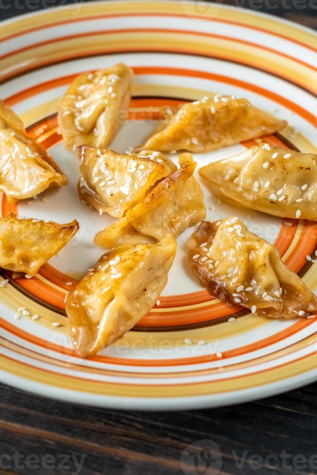 del av gyoza foto