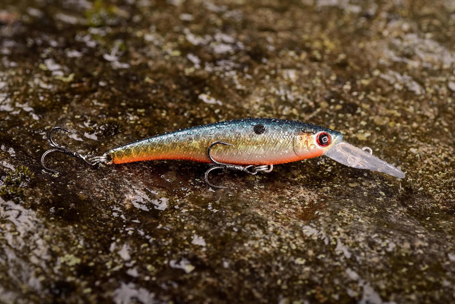 fiske lockare wobbler på en våt sten med mossa foto