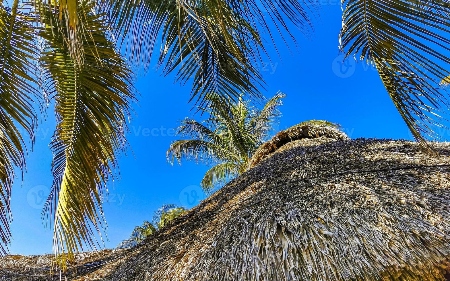 hotell resorts byggnader i paradis bland handflatan träd puerto escondido. foto