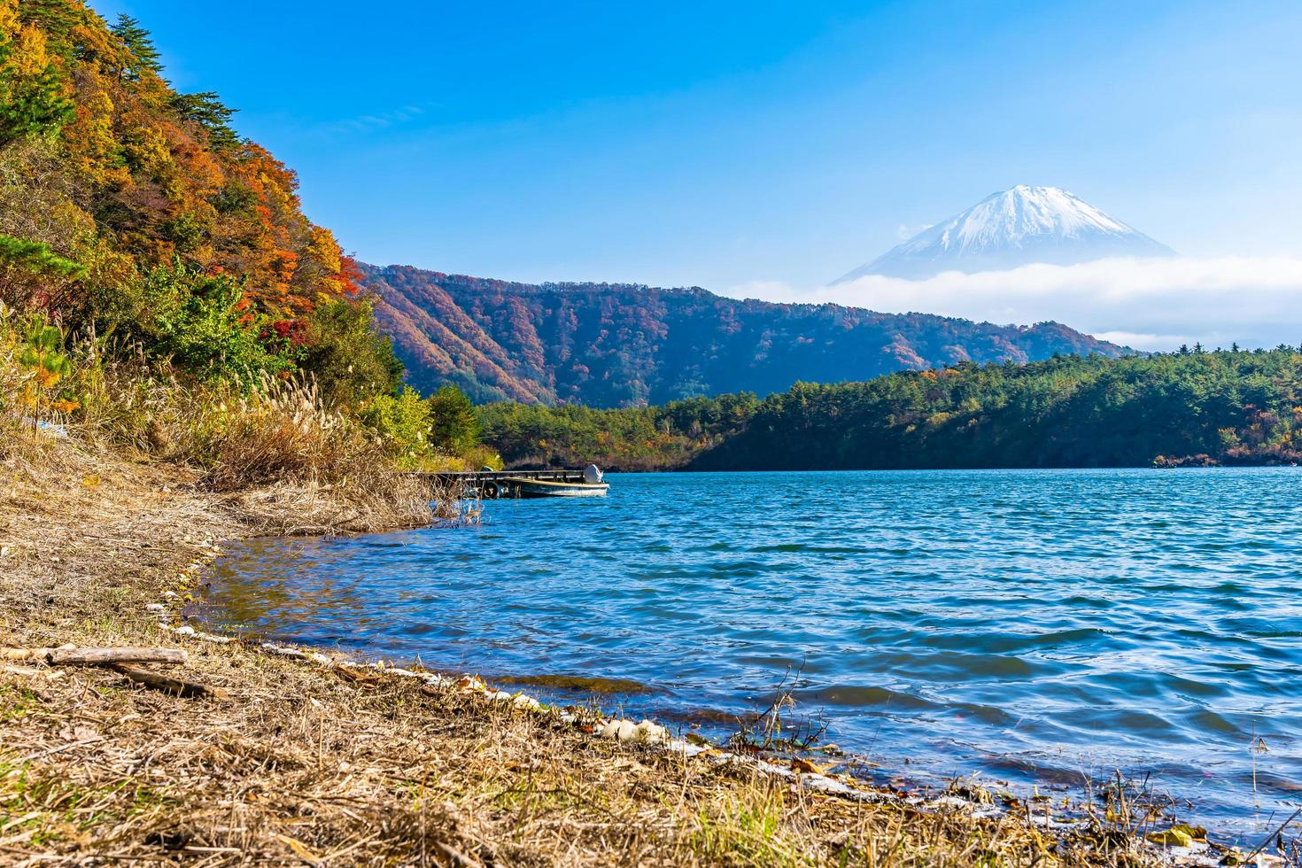 mt. fuji med i Yamanashi, Japan foto