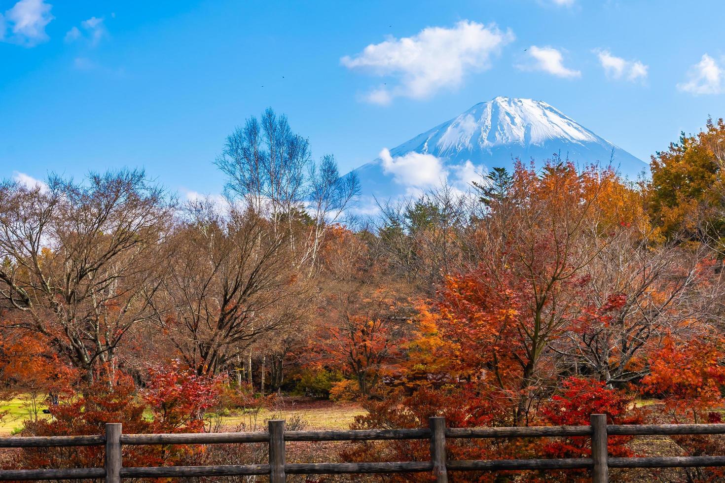 mt. fuji med i Yamanashi, Japan foto