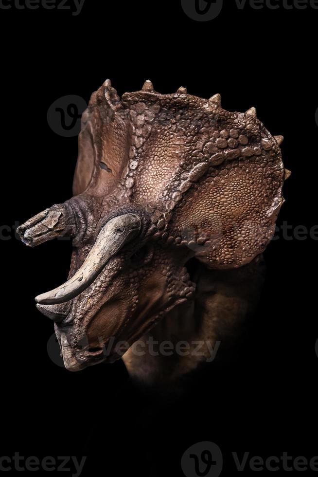 de huvud av triceratops i de mörk , dinosaurie på svart bakgrund foto