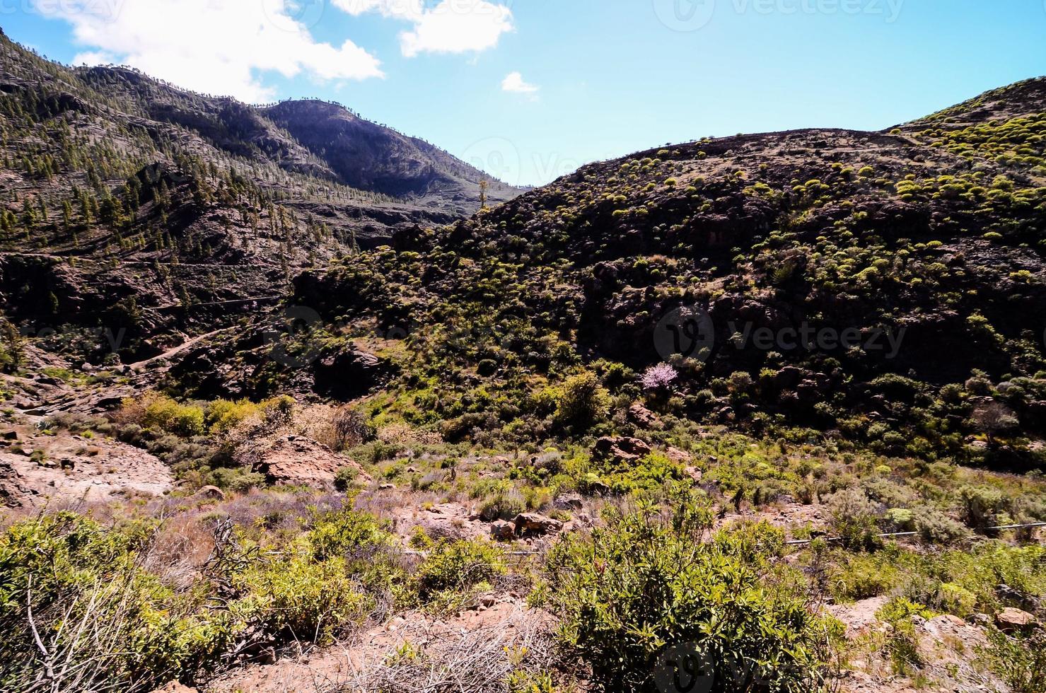 naturskön landskap på teneriffa, kanariefågel öar, Spanien foto