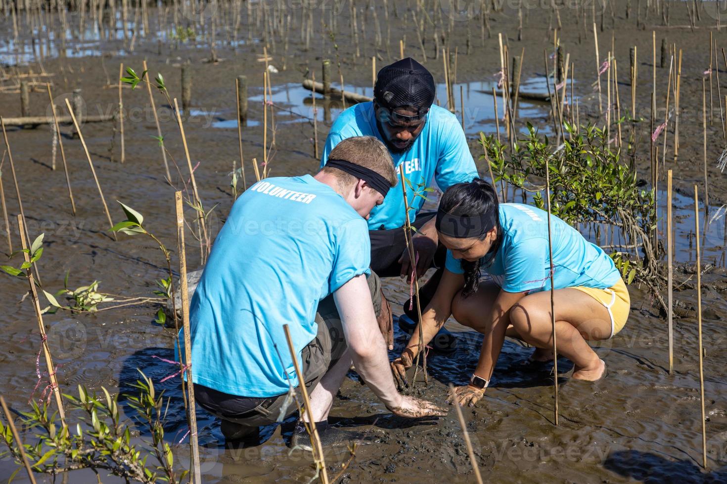 team av unga och mångfaldsvolontärarbetare njuter av välgörande socialt arbete utomhus i mangroveplantering ngo-arbete för att bekämpa klimatförändringar och global uppvärmning i kustlinjens livsmiljöprojekt foto