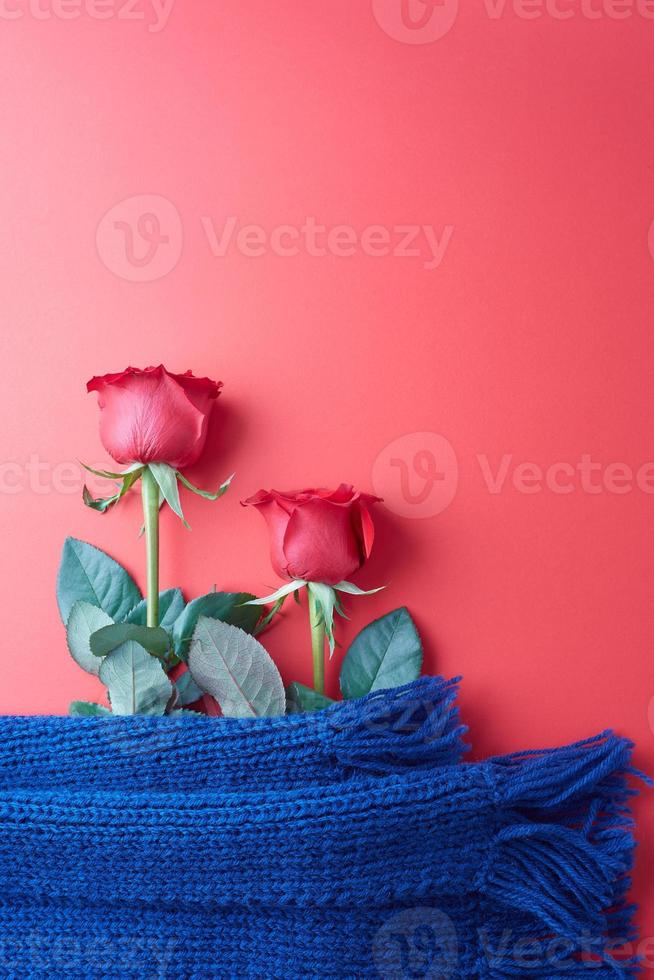 rosor på en röd bakgrund, koncept för alla hjärtans dag foto