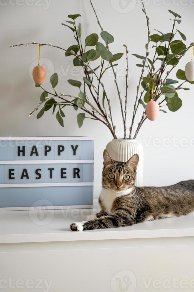 vertikal påsk baner med söt tabby katt nära vas med vide dekorerad med ägg och Lycklig påsk ram foto