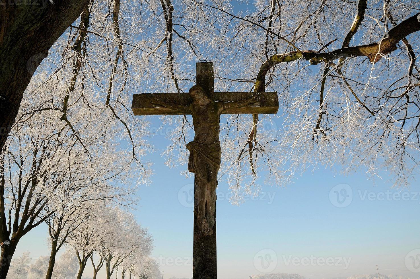 vinter- tid i Westfalen foto