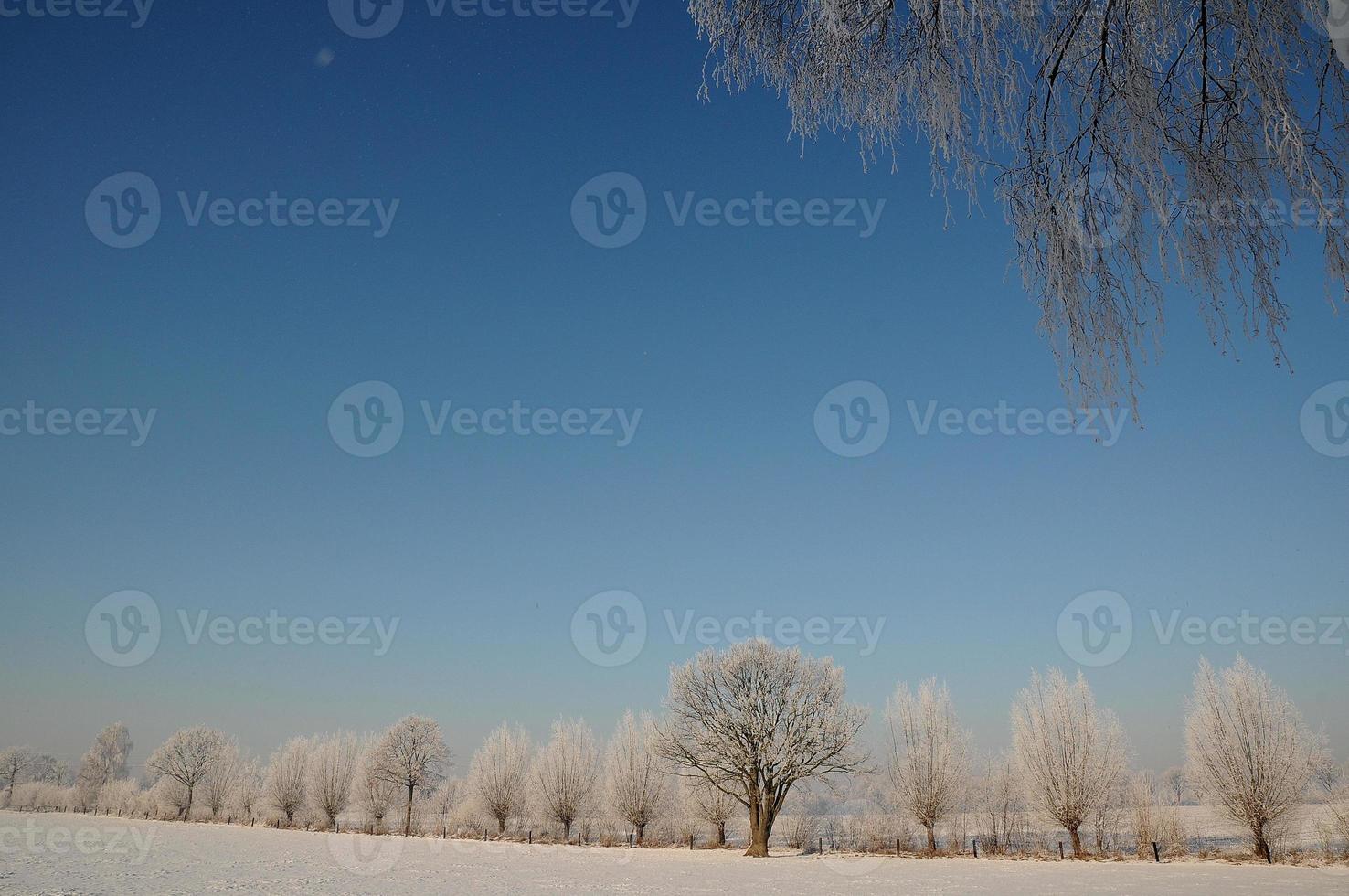 vinter- tid i Westfalen foto