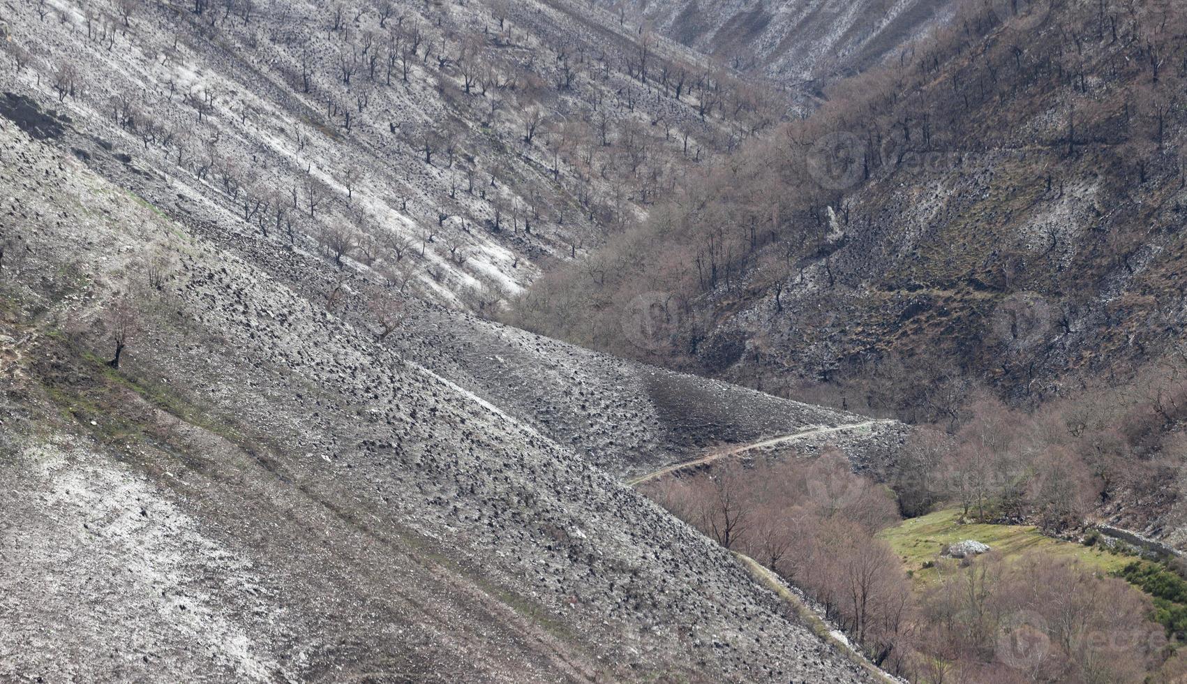 berg berövade sin vegetation efter en brand foto