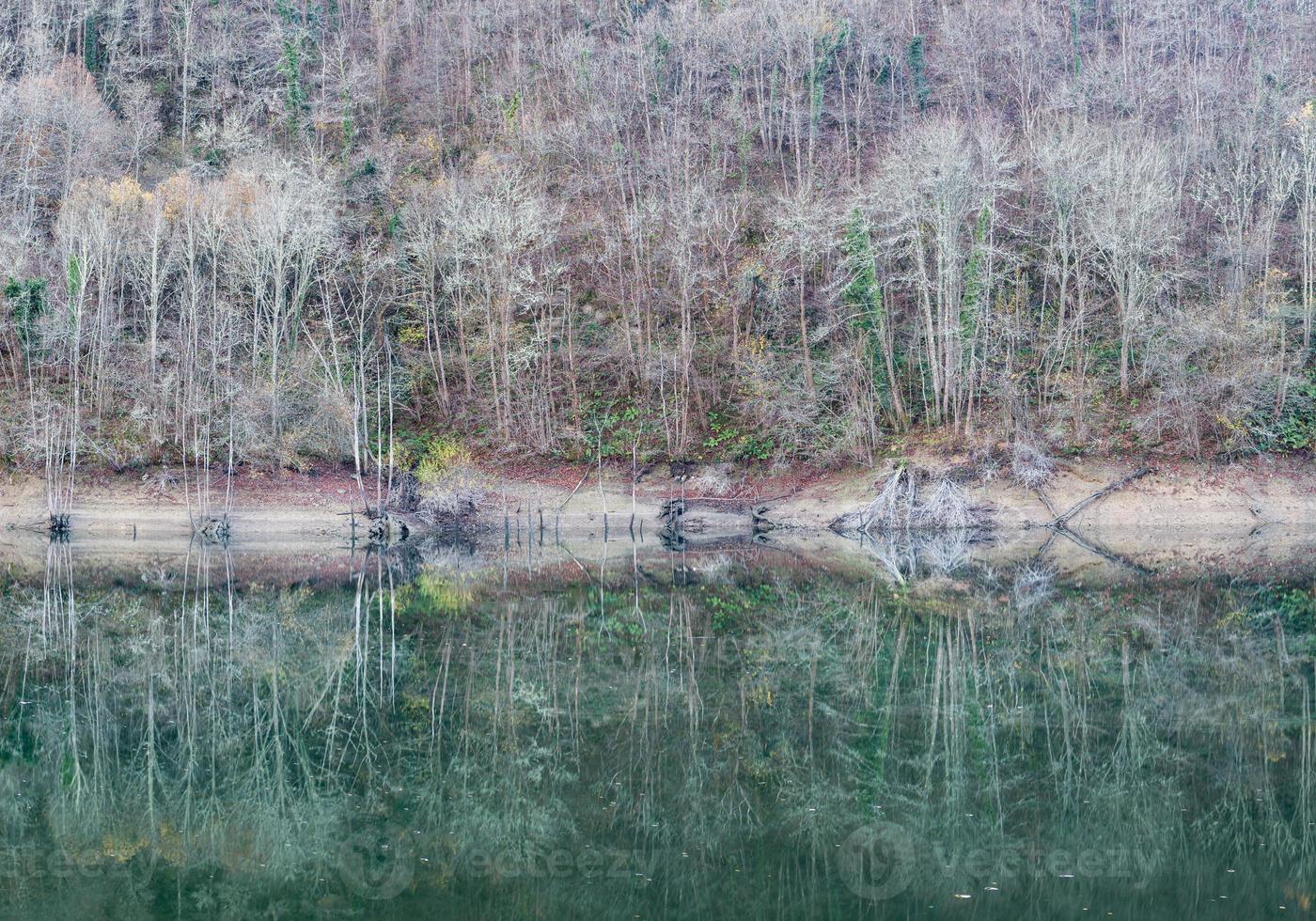 skog på vintern återspeglas i floden foto