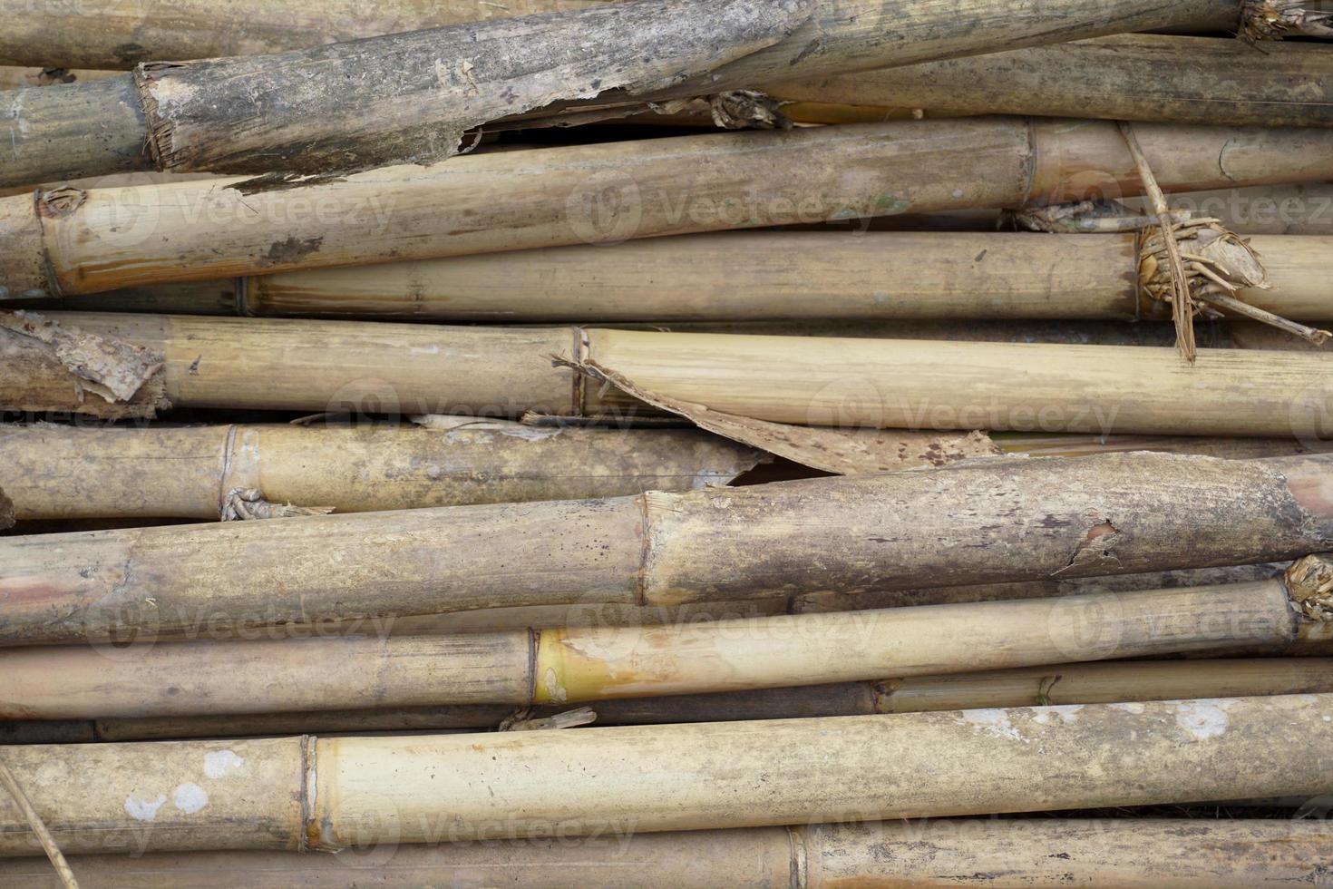 stack av torkades bambu stjälkar - detta bild ställer ut en lugg av torkades bambu stjälkar den där ha foto