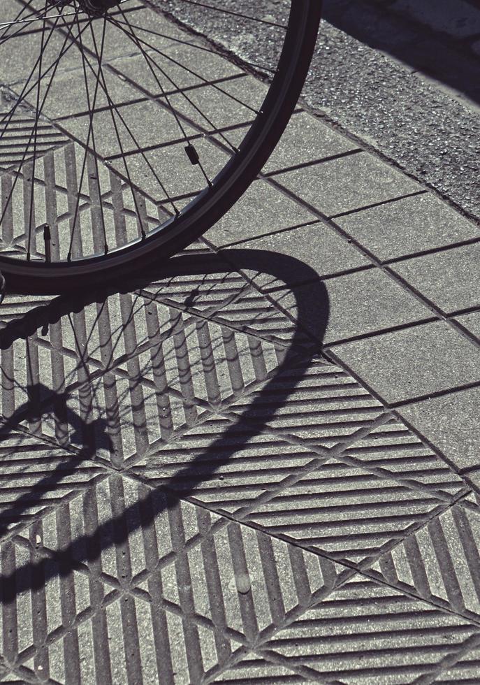 skugga av ett cykelhjul eker foto