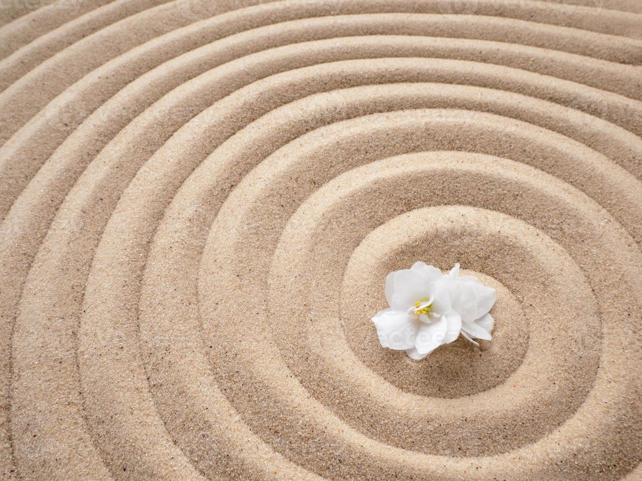 delikat vit violett blomma på de bakgrund av sand, spiral mönster. zen, lugna, skönhet foto