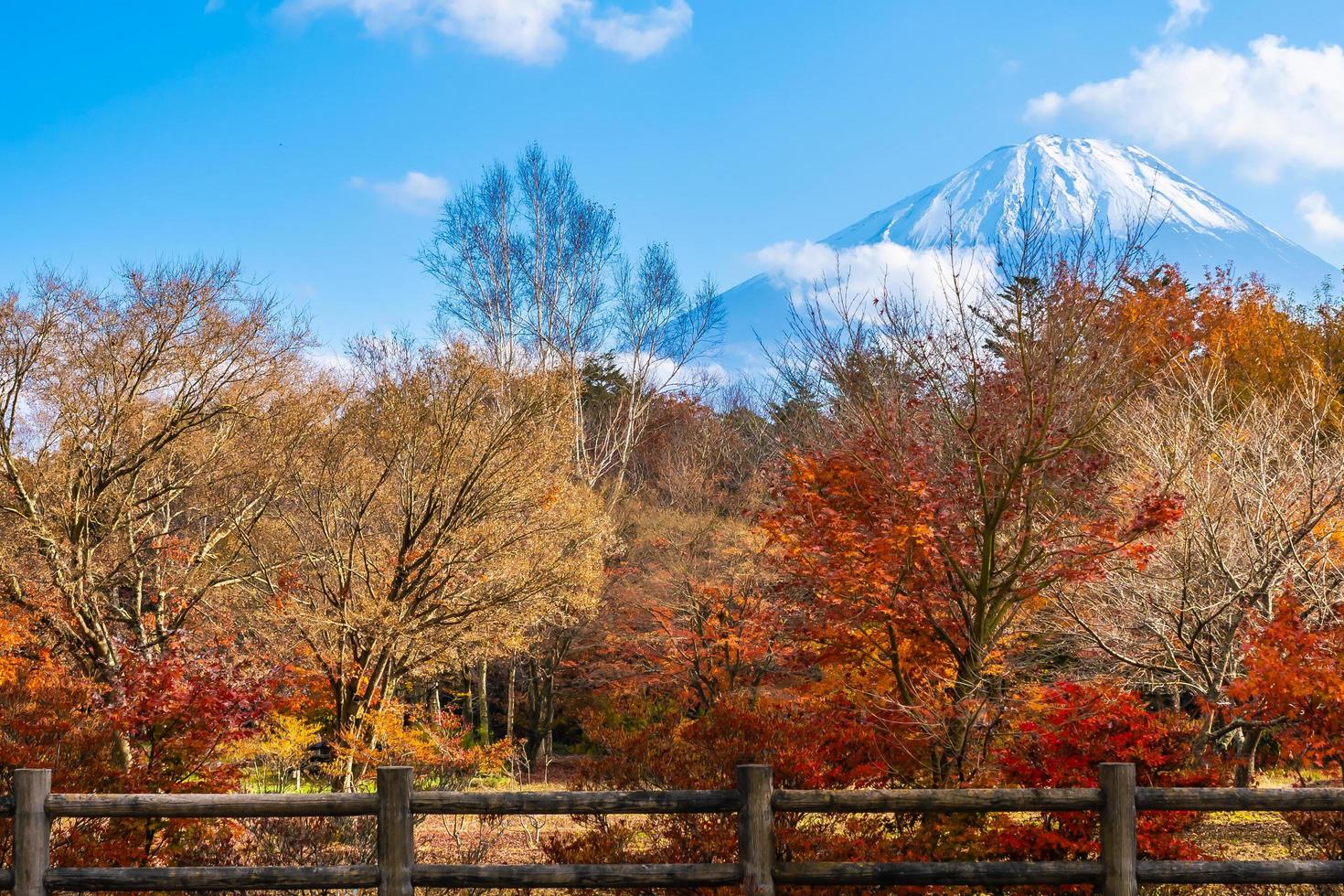 landskap vid Mt. fuji, yamanashi, japan foto