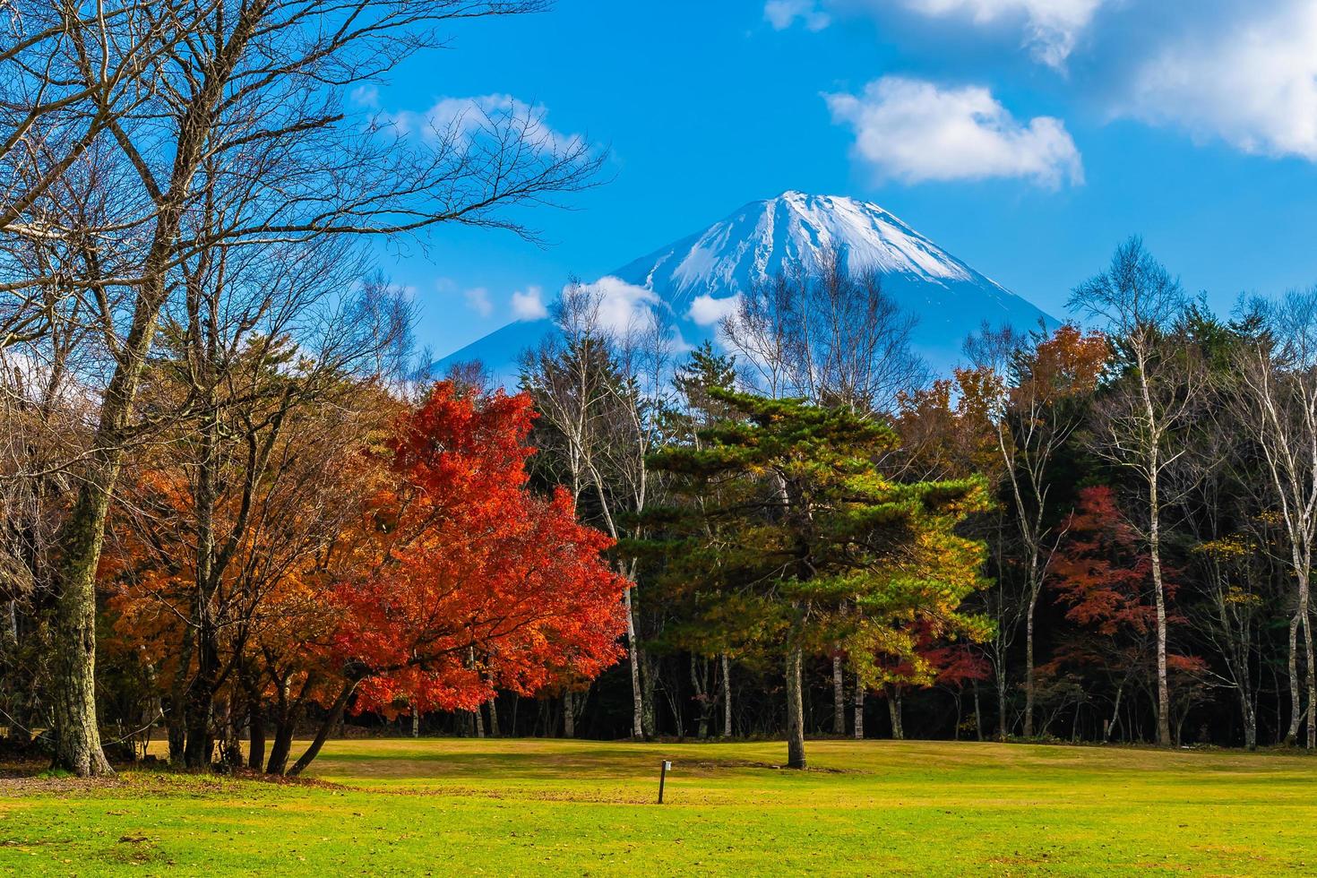 landskap vid Mt. fuji, yamanashi, japan foto