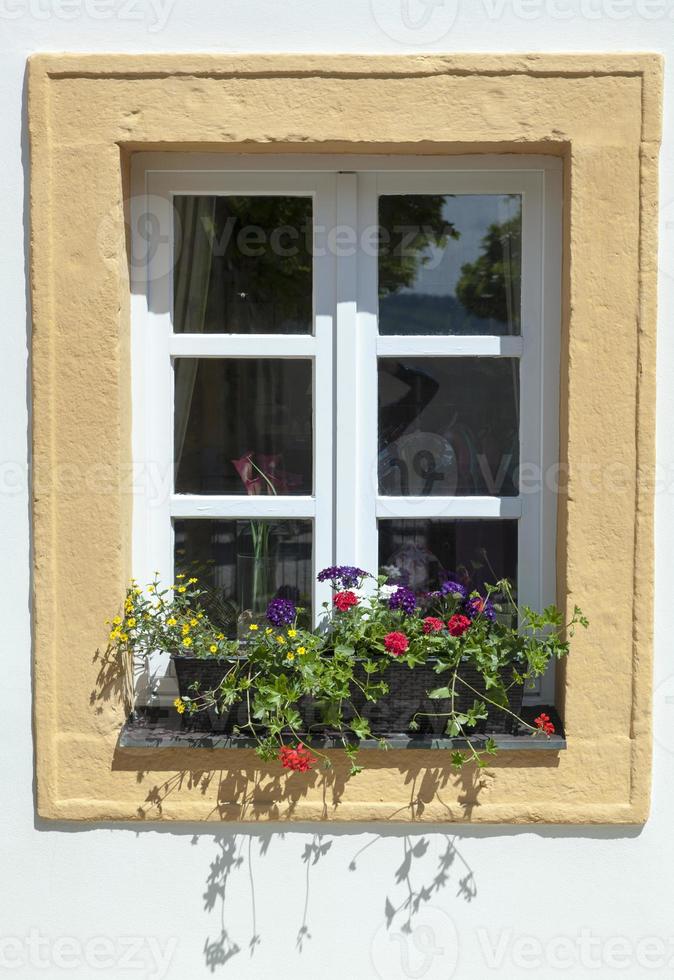 melk stad affär fönster med blommor foto