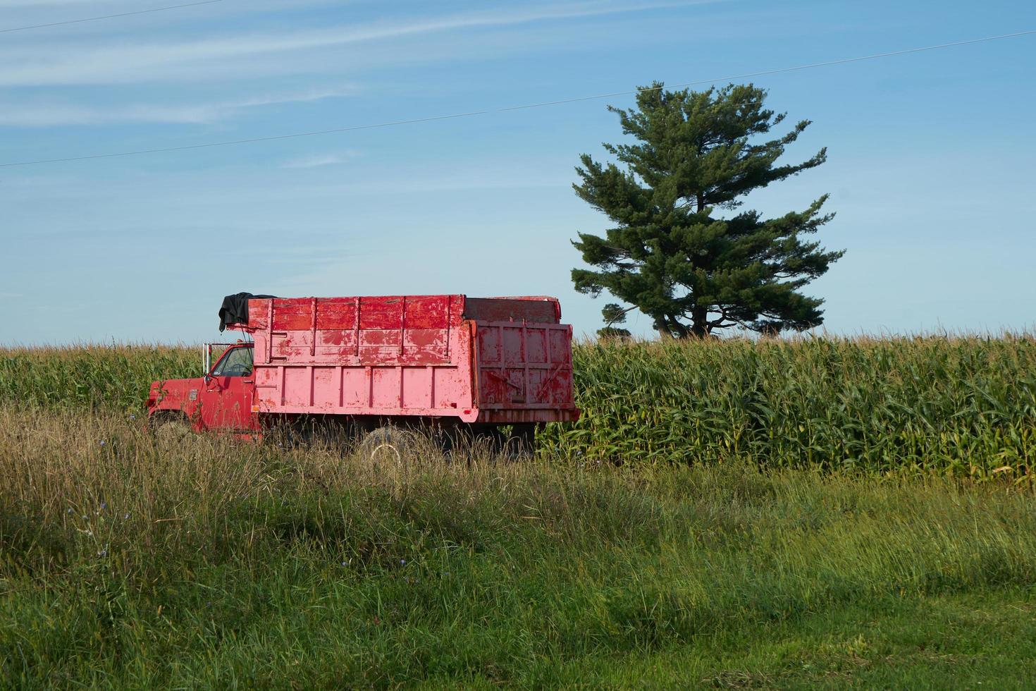 en röd lastbil i en fält. foto